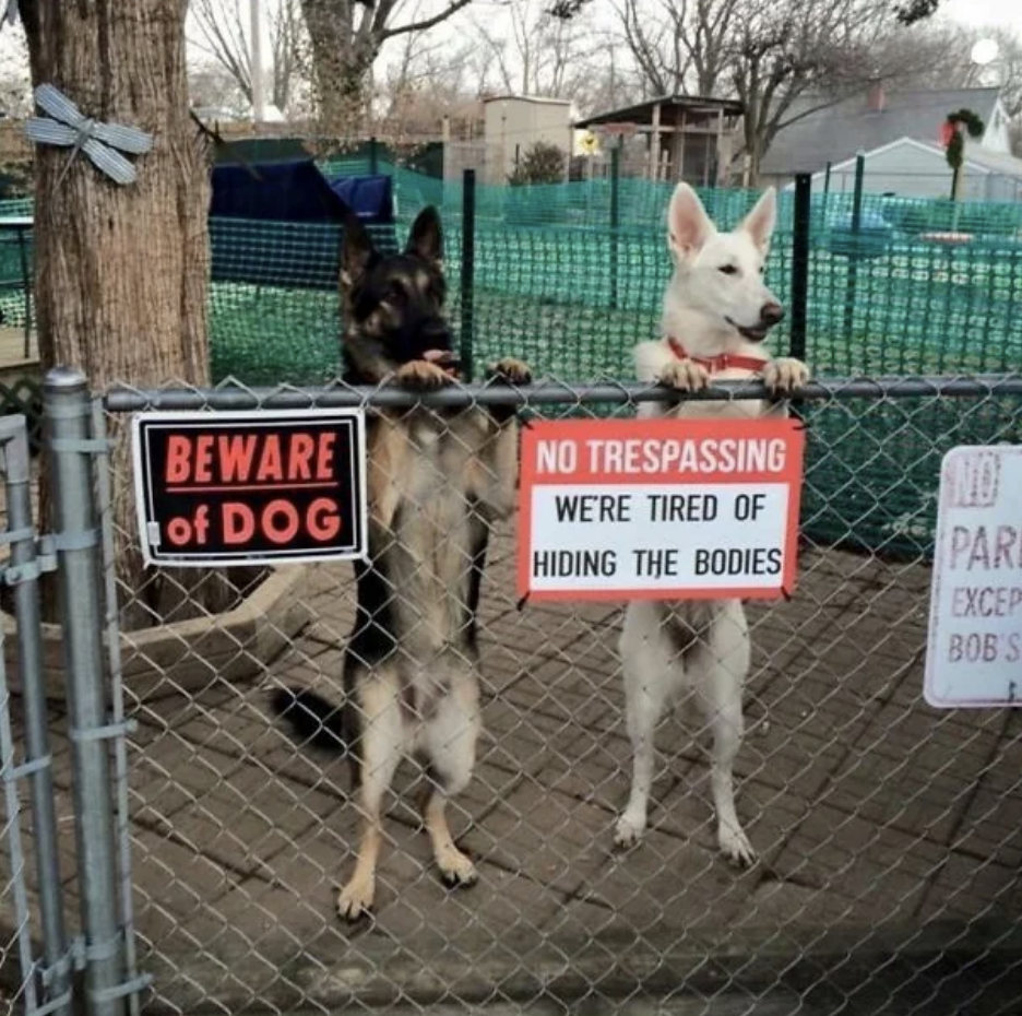 Two dogs standing on hind legs behind a fence. Signs on the fence read: "BEWARE of DOG" and "NO TRESPASSING: WE'RE TIRED OF HIDING THE BODIES"