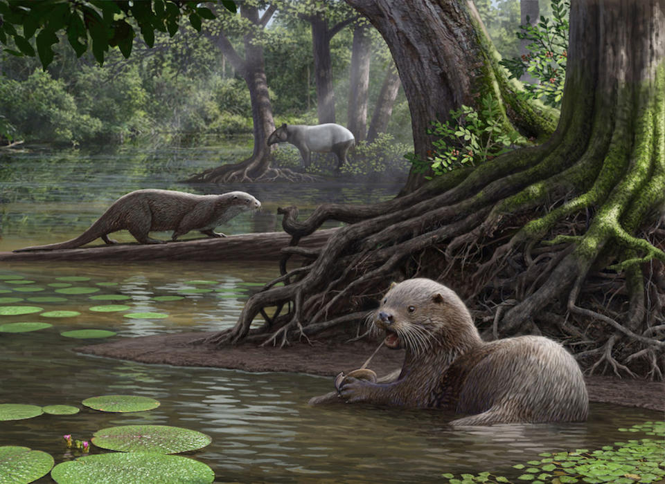 Adorable Terror: Wolf-Size Otter Hunted in Ancient China