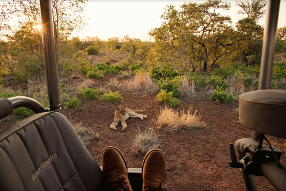 Hosted safari game drive. Photo: Supplied/South Africa Tourism