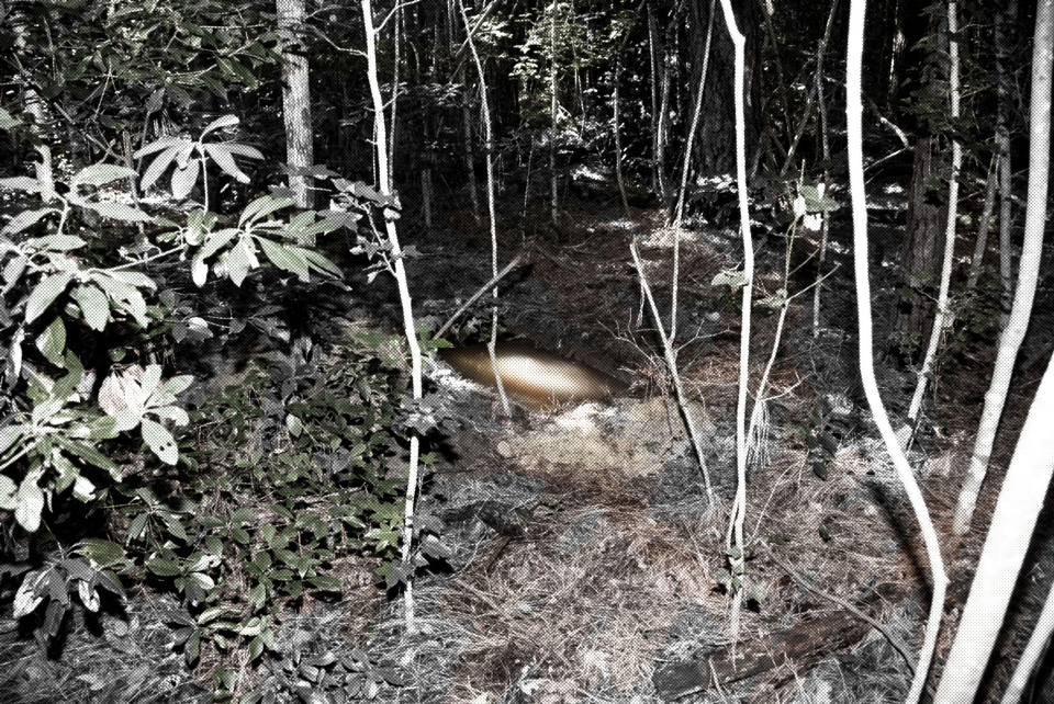 A photo illustration of a site in Jacksonville, North Carolina, where in June 2018 a Marine Corps sergeant dug up explosives he had stolen from nearby Camp Lejeune and then buried. (AP Illustration)