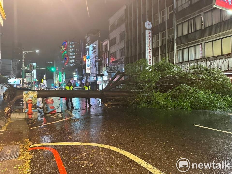 台南市民族路二段的樹木倒塌，因橫躺整個路面，交通完全中斷，在警方協助現場交管下，工務局人員花費兩個多小時將橫躺的樹木處理完成，恢復交通順暢。   圖：台南市政府提供