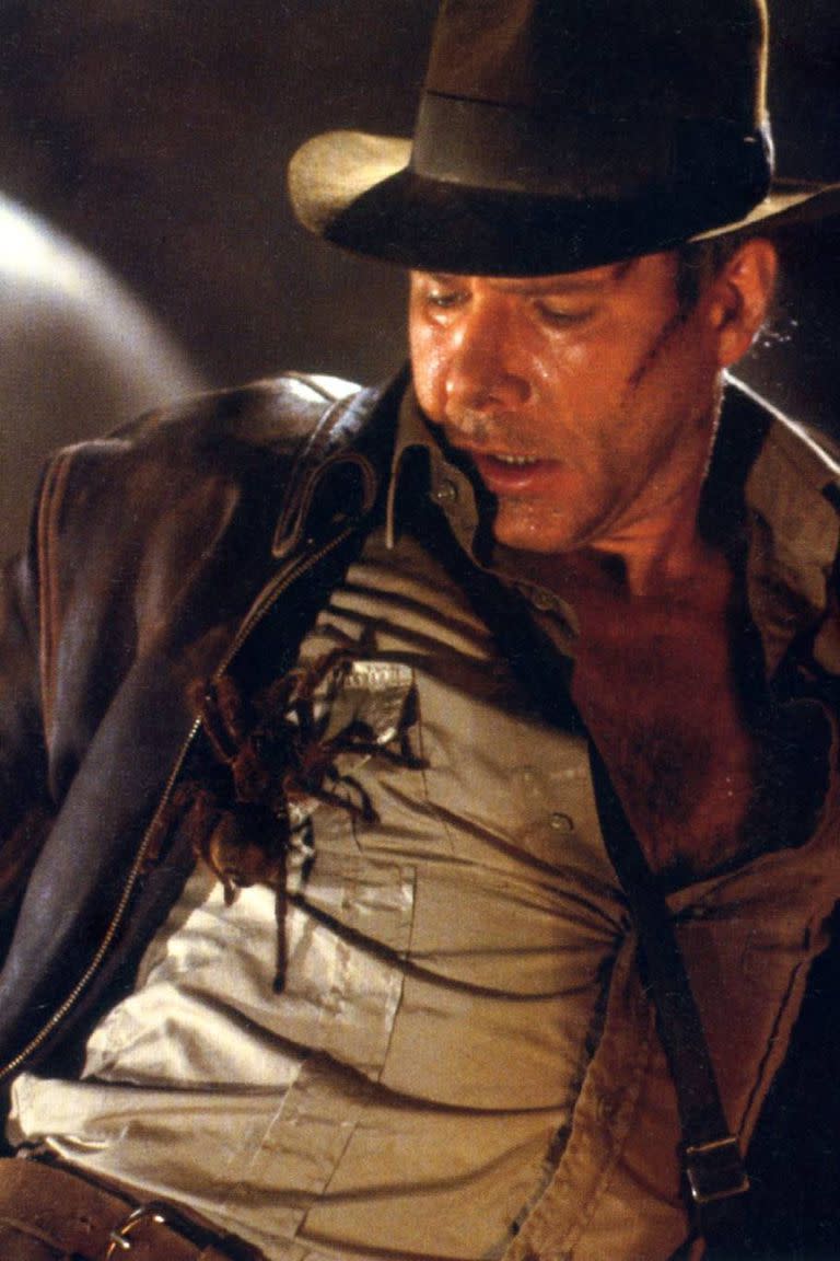 Una araña lleva el nombre de Harrison Ford, pese a que a su personaje emblemático, Indiana Jones, los arácnidos no le caen muy bien