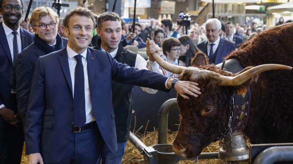 Au salon de l’agriculture, Emmanuel Macron a eu un échange musclé ce samedi 25 février avec un activiste écolo.