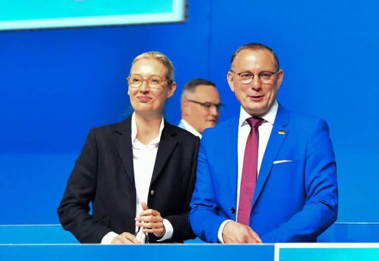 Zum Auftakt des Bundesparteitags der AfD hat Parteichefin Alice Weidel Probleme beim Europawahlkampf eingeräumt. "Es hat geruckelt, es hat gekracht", sagte Weidel am Samstag vor den Delegierten in der Gruga-Halle in Essen. (Volker Hartmann)