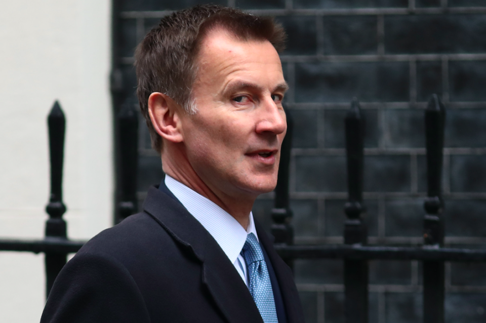 <em>Foreign Secretary Jeremy Hunt was a prominent Remainer in the EU referendum (Getty)</em>