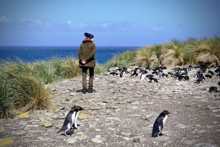 La Princesa Real visita las Islas Malvinas