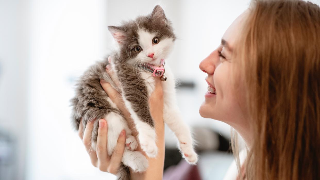  Woman holding up a kitten and smiling while it looks at the camera. 