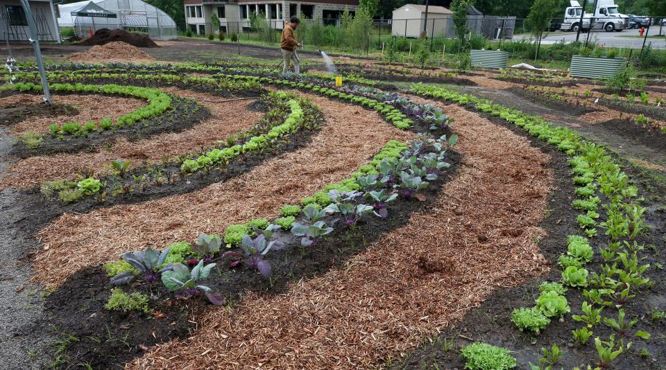 Gardens behind Haymarket on River Rd.  Haymarket is a "farm-to-table" marketplace with grocery offerings, grab-and-go food options and outdoor merchandising area opening June 14. The store also has a drive-thru that sells coffee and food, which is open.