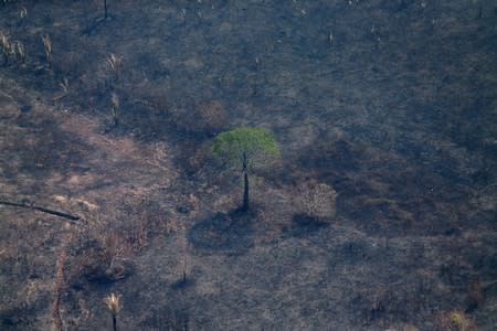 FILE PHOTO: An aerial view of a burned tract of Amazon jungle as it was cleared by loggers and farmers near Porto Velho