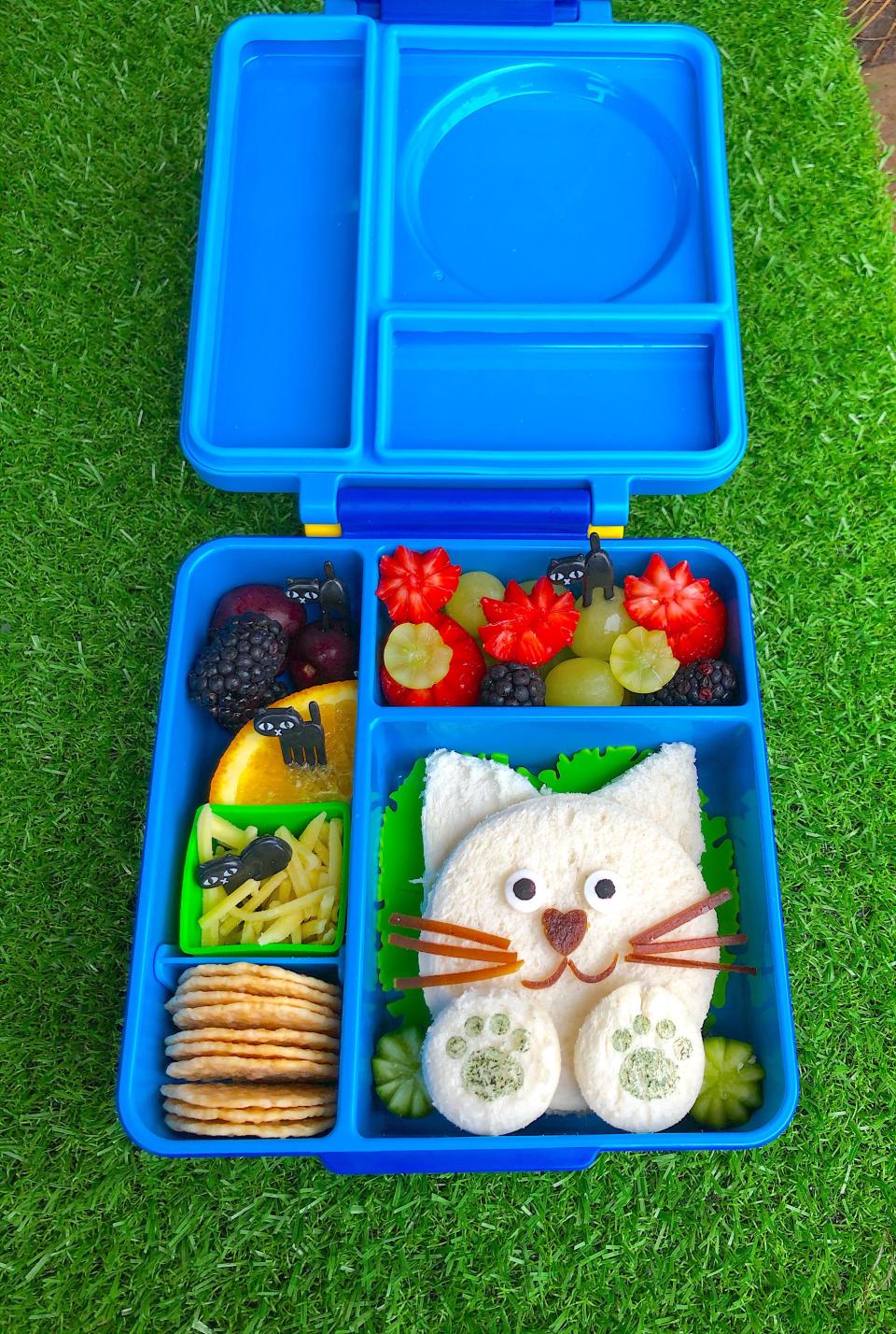 Bento box lunch box