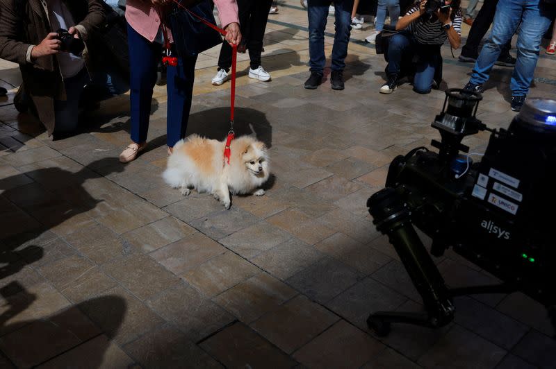 Presentation of a police robot dog in Malaga