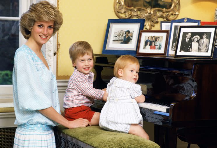 Diana, pictured with young princes William and Harry, continues to be a fascination for millions (Tim Graham/Getty Images)