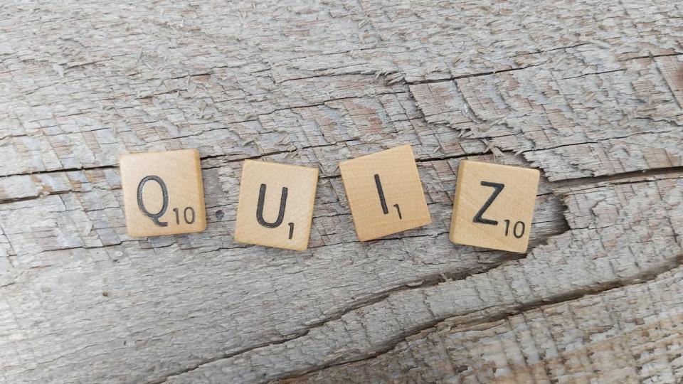 Time for the weekly CBC Ottawa news quiz. How closely have you been paying attention over the past seven days? (Trevor Pritchard/CBC - image credit)
