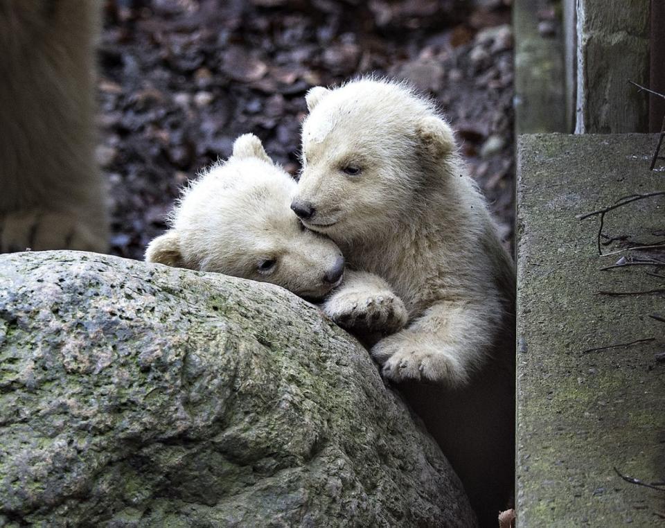 23. Februar 2017: Die Bilder des Tages