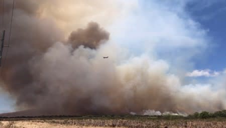 Plane flies through a plume of smoke from a wildfire on the island of Maui, Hawaii