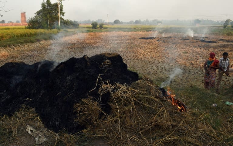 On Delhi's outskirts farmers are busy burning crop residue to clear their land before the new harvest and the acrid smoke has already begun to drift south, casting a pall over the world's most polluted capital