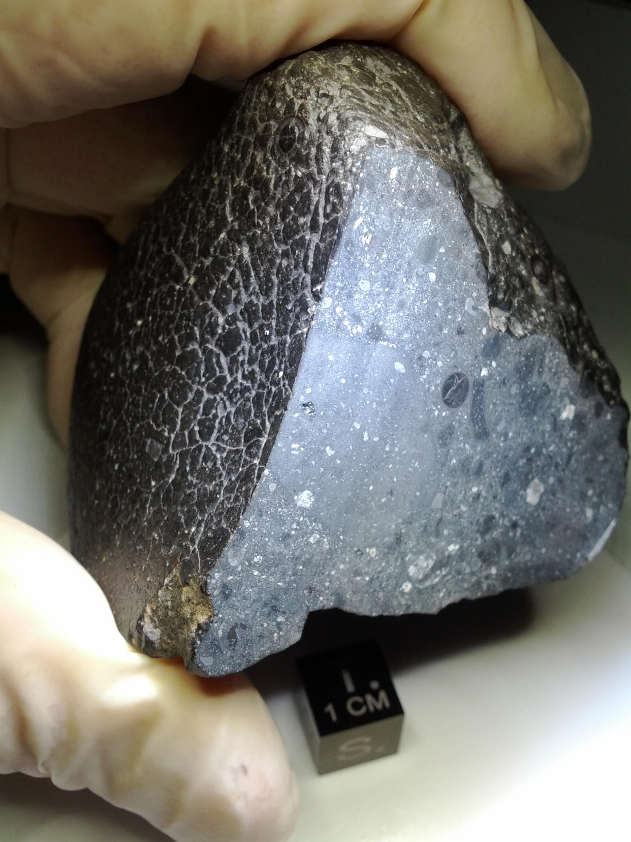 The meteorite is known as 'Black Beauty' and could offer insight into the early Earth (NASA)