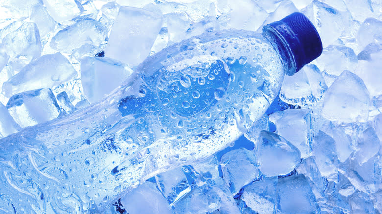 Frozen water bottle with ice