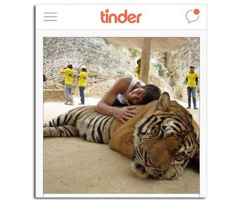 Tinder profile photo of man hugging tiger