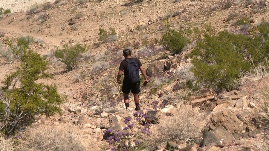 Conservation groups and some community members are looking to turn public land on the outskirts of east Las Vegas into a national monument. (KLAS)