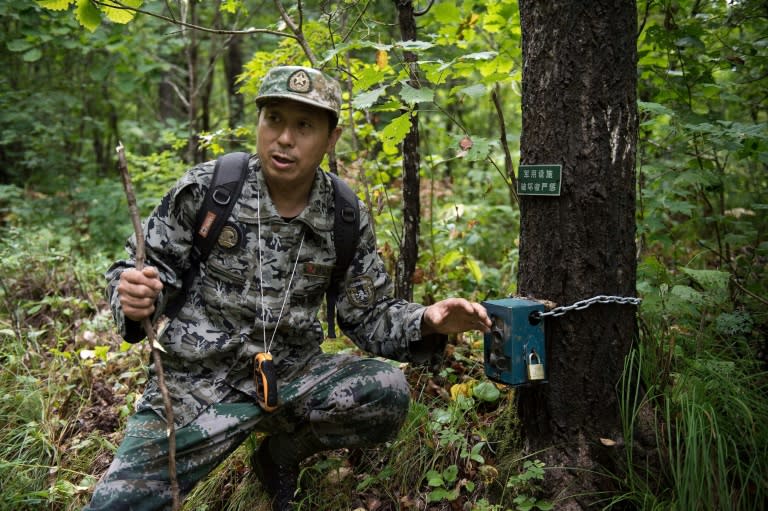 Liang Fengen, now a ranger at the Nuanquan River Forestry Centre in China, used to poach wild animals but now helps protect them