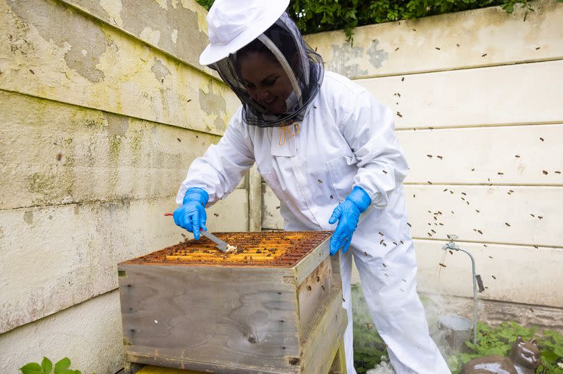 Beekeeper Amanda Mason said she has found "solace" in her hobby