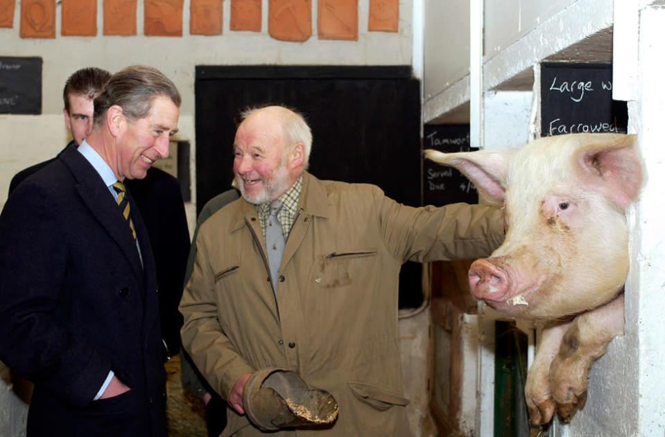 2003年1月31日查爾斯三世訪問沃利納學校有機農場，與農民彼得·哈特和母豬薩利合影。