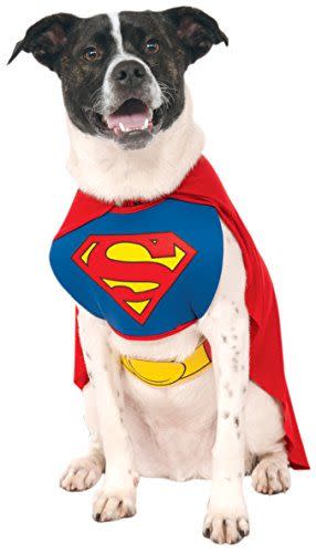 Pet Superman Costume