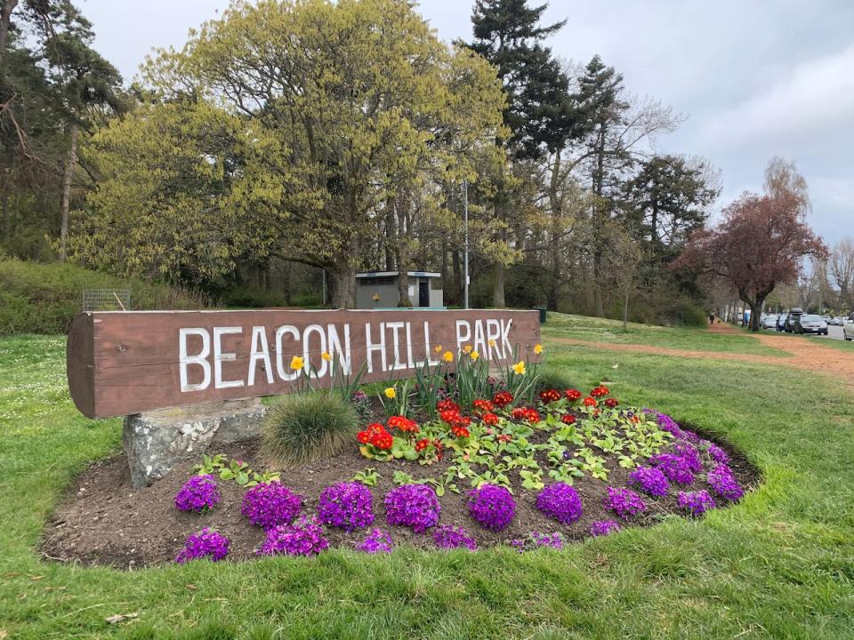 A 49-year-old man was repeatedly stabbed by a stranger in Victoria's Beacon Hill Park in January 2014. (Adam van der Zwan/CBC - image credit)