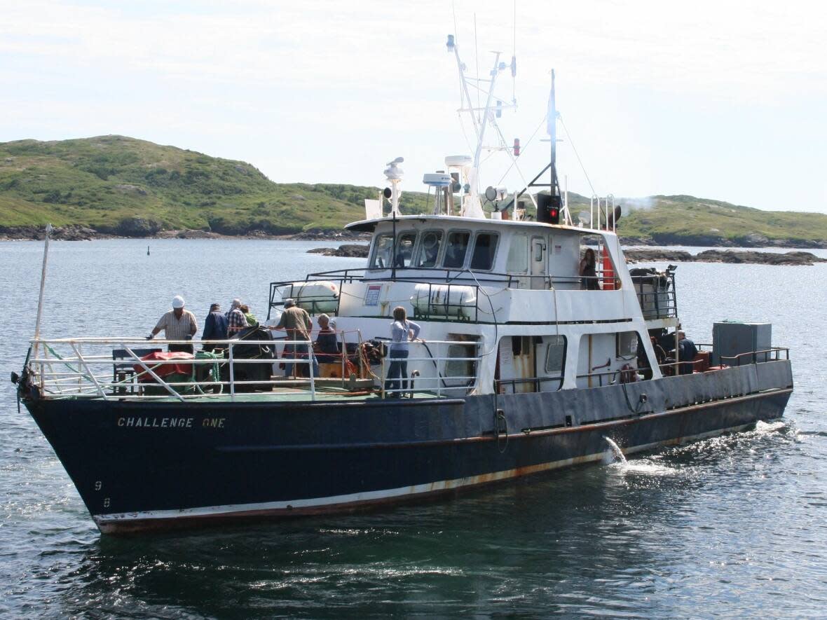 The MV Challenge One, which is owned by  Puddister Shipping, runs between Rose Blanche and La Poile. It carries freight and 26 passengers but does not take vehicles. (Government of Newfoundland and Labrador - image credit)