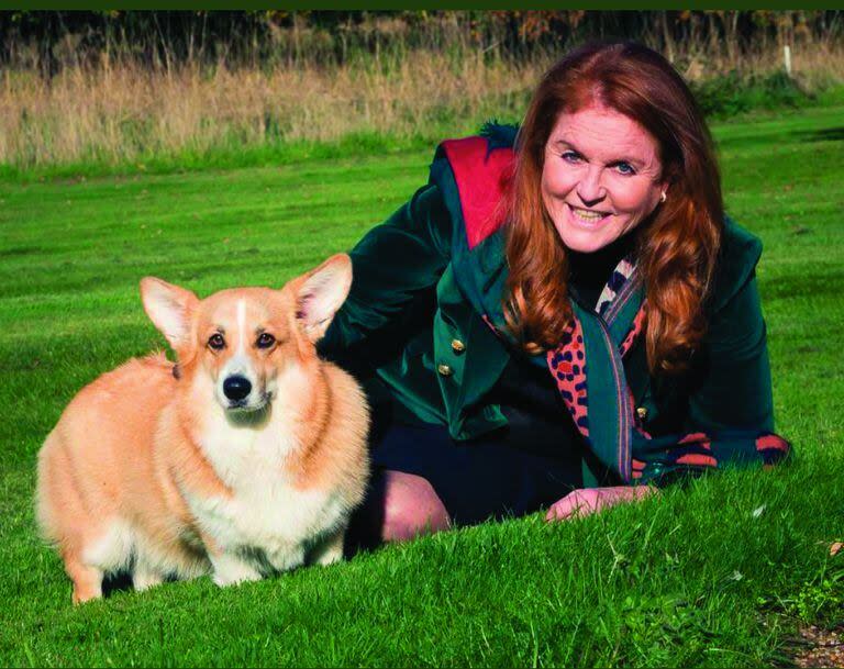 -sarah ferguson perros corgis