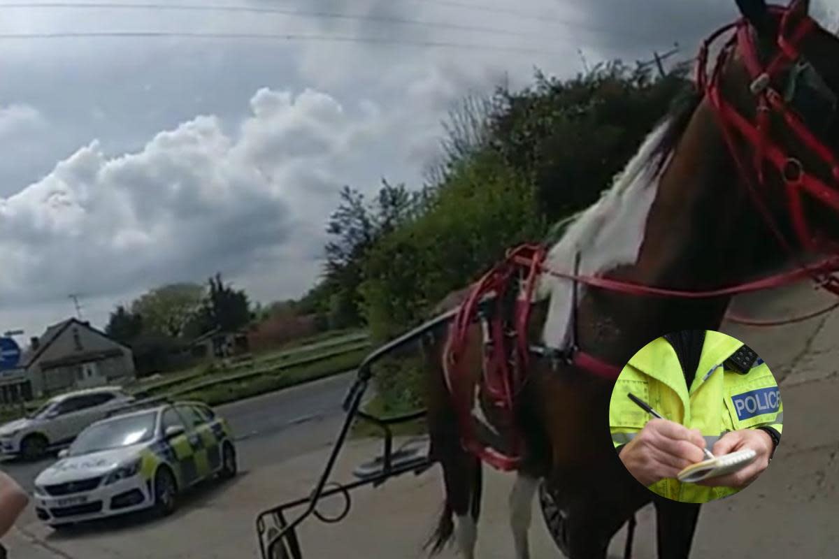 Unusual - Horse and Trap stopped by police <i>(Image: Essex Police)</i>