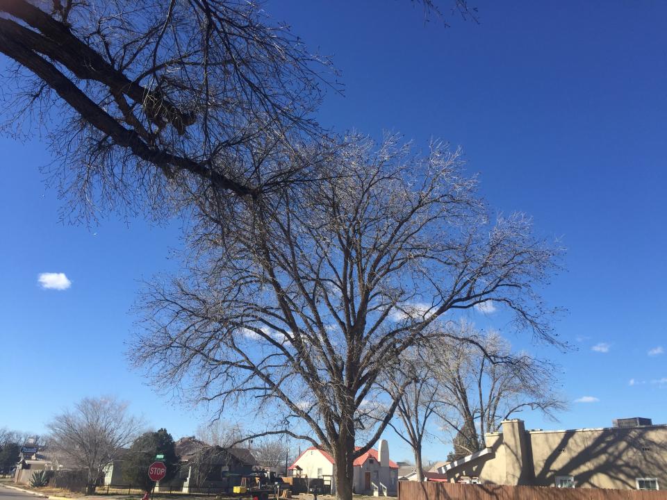 High winds blew across Eddy County, southeast New Mexico and west Texas on Jan. 18, 2023, as high wind warnings were forecast for the region.