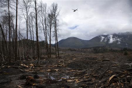 A helicopter flies over the large debris pile left by a mudslide in Oso, Washington, in this April 4, 2014 file photo. REUTERS/Max Whittaker/Files