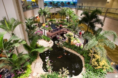 A garden space within Changi Airport in Singapore - Credit: Alamy