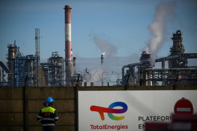 NGOs accuse TotalEnergies of 'deliberately endangering the lives of others, involuntary manslaughter, neglecting to address a disaster, and damaging biodiversity' (LOIC VENANCE)