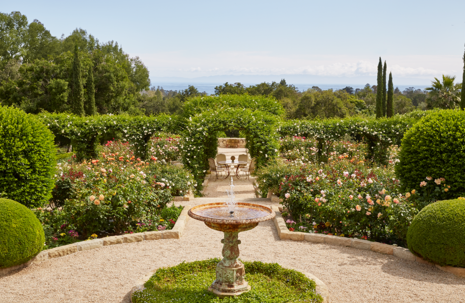 2) Oprah Winfrey's Private Rose Garden