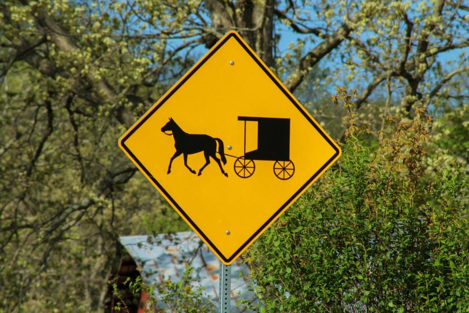 Horse and buggy caution sign