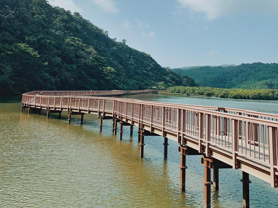 A hike path through the mangroves in Okinawa