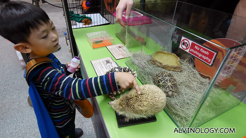 Petting booth