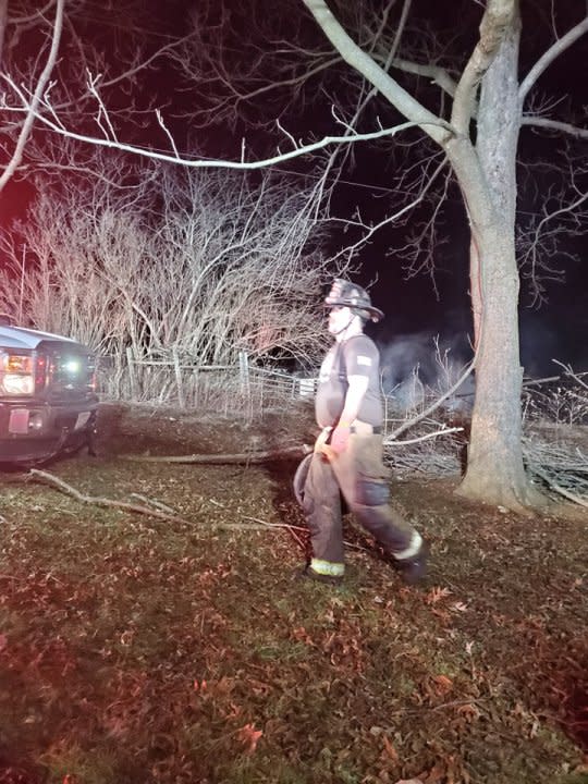 (courtesy, Galax FD)