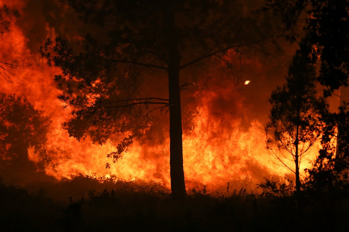 Wildfires burn in Portugal, where  temperatures are set to hit 43C  (Reuters)