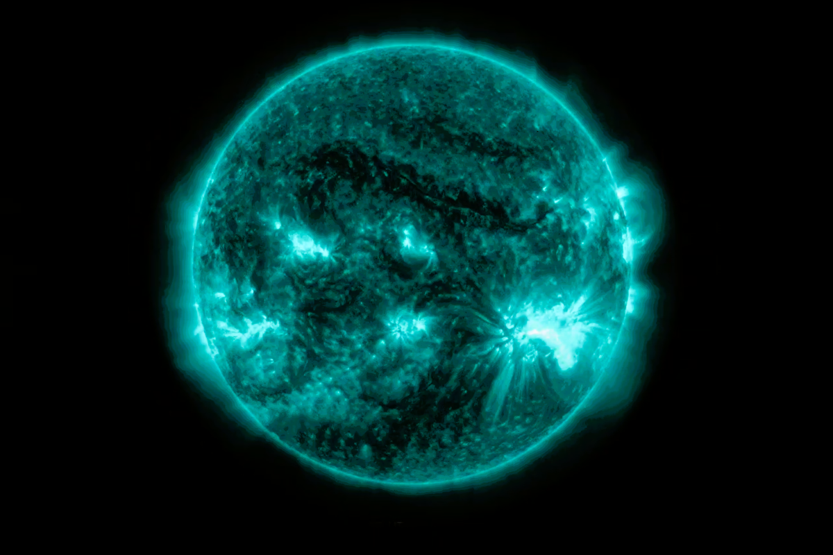 The AR3723 sunspot will soon face Earth, a month after triggering a level G5 geomagnetic storm (Nasa)