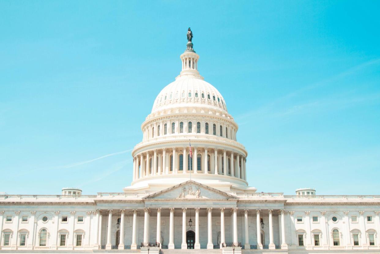 Washington D.C. is a historically significant city which tourists enjoy visiting safely. Check out all we know about safety and tourism in this area. pictured: the United States capitol in Washington D.C.