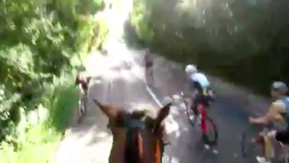 <em>Cyclists in a triathlon appeared to hit the horse during the race (Facebook)</em>