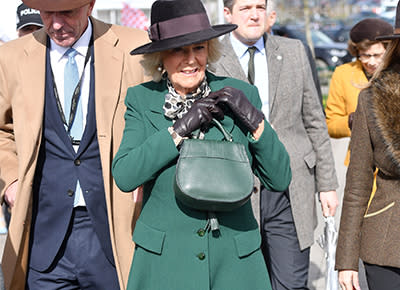 Duchess Camilla carries £4000 handbag in elegant new pictures