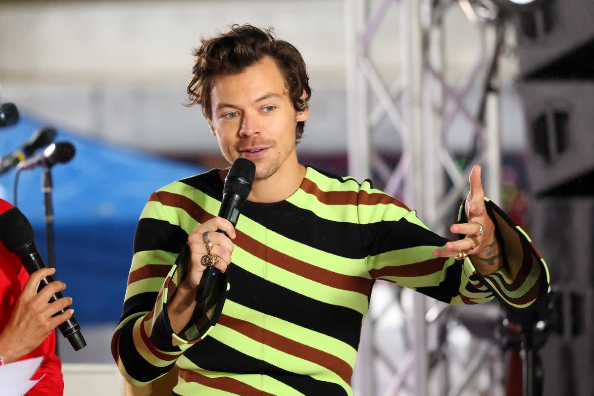 Texas State University has announced plans to introduce a course on popstar Harry Styles next year (Dia Dipasupil / Getty Images)