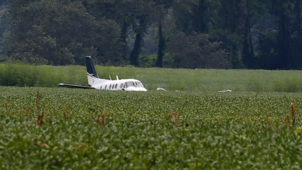 PHOTO: A stolen airplane rests in a field of soybeans after crash-landing near Ripley, Miss., Sept. 3, 2022. (Nikki Boertman/AP)