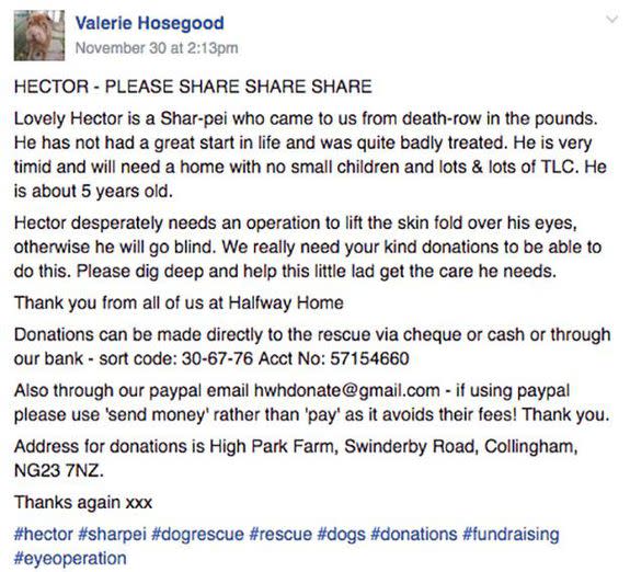 Hosegood shared an appeal for Hector on Facebook.
