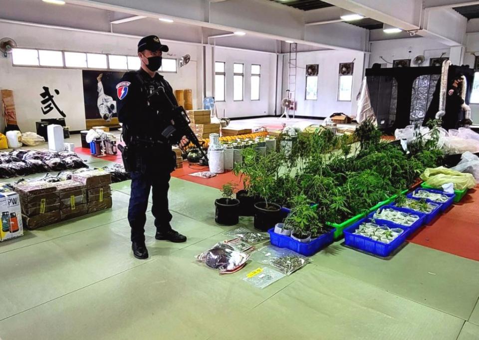 花蓮警方查獲二處大麻場，搜出大麻三０五株，市價超過二千萬元。(花蓮縣警局提供)